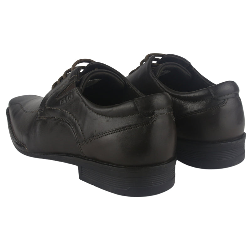 Zapato Ferracini Hombre 5340 Ambience Café Oscuro Casual