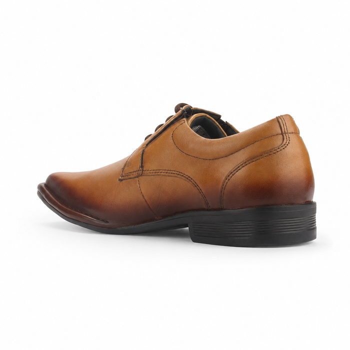 Zapato Ferracini Hombre 5335 Ambience Café Casual