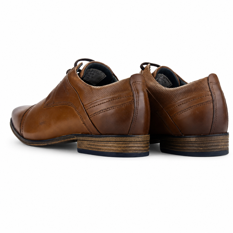 Zapato Ferracini Hombre 6065 Derby Café Casual