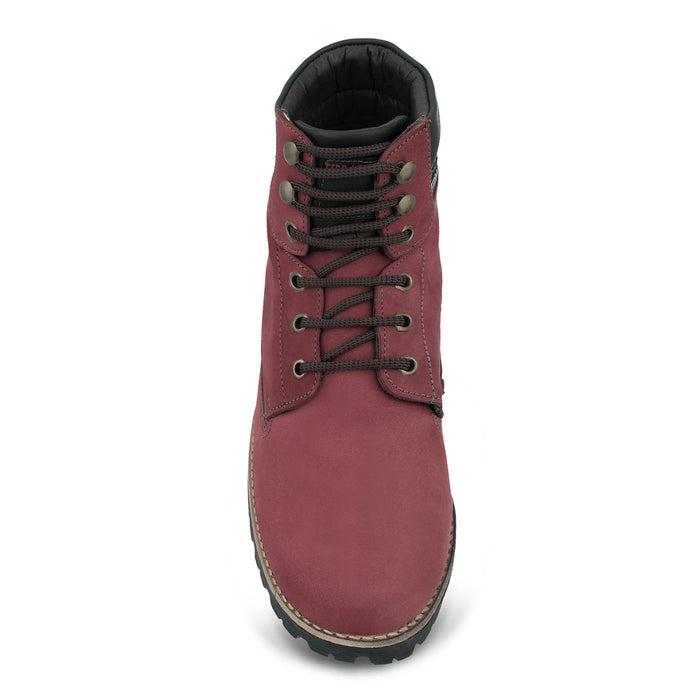 Bototo Ferracini Hombre Compass 8834 Burdeo Casual