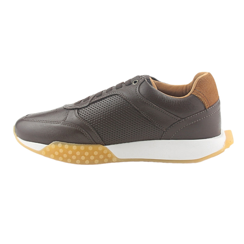 Zapatilla Ferracini Hombre 8527 Racer Café Casual