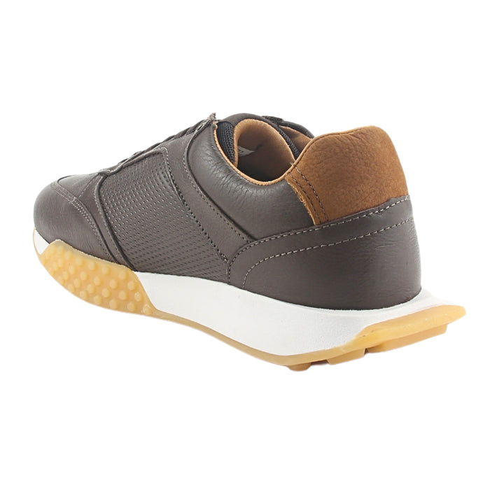 Zapatilla de Hombre Ferracini Café Casual 8527