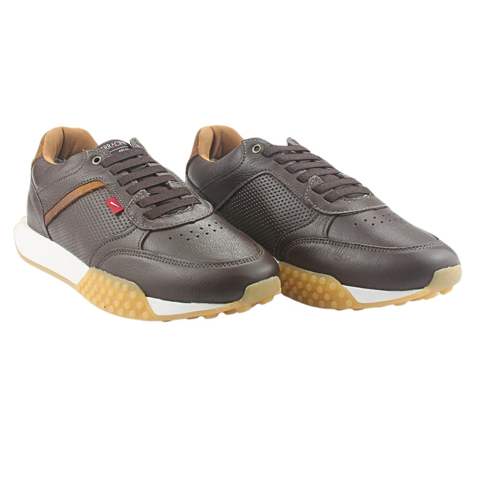 Zapatilla de Hombre Ferracini Café Casual 8527