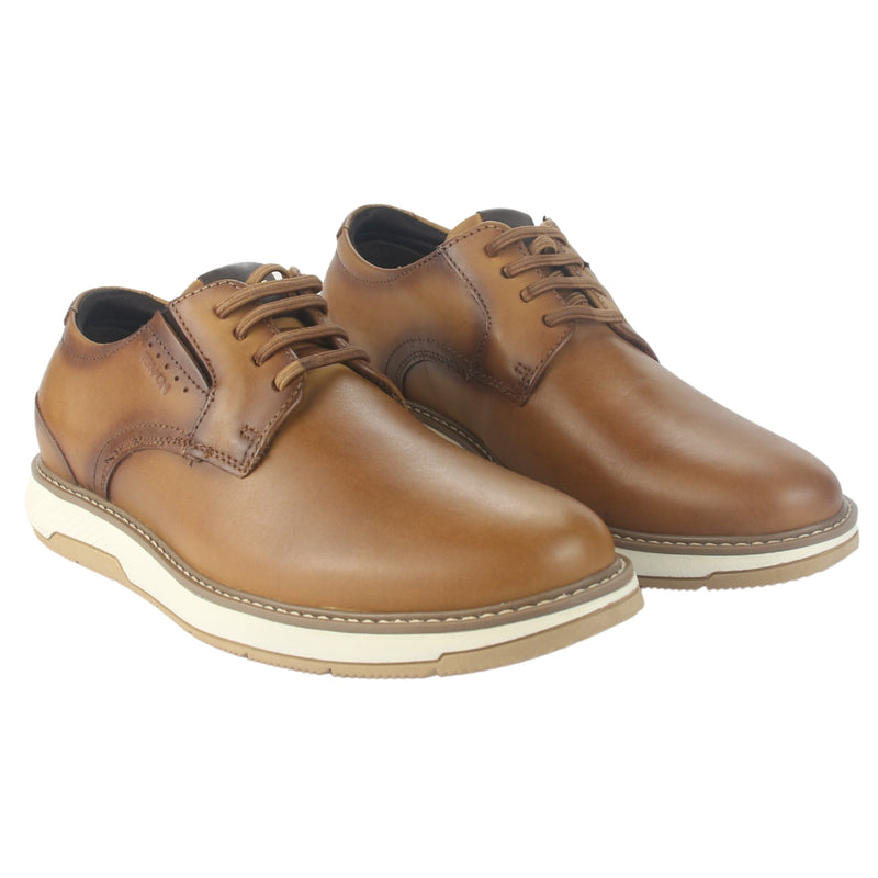 Zapato Ferracini Hombre 4170 Wembley Café Casual