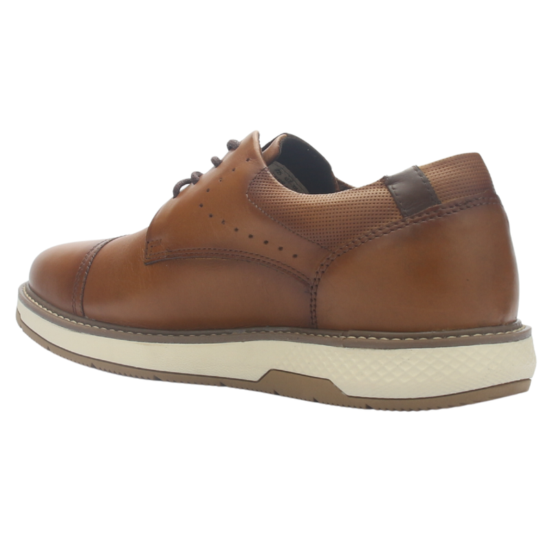 Zapato Cafe Hombre Casual Ferracini 4171 Wembley