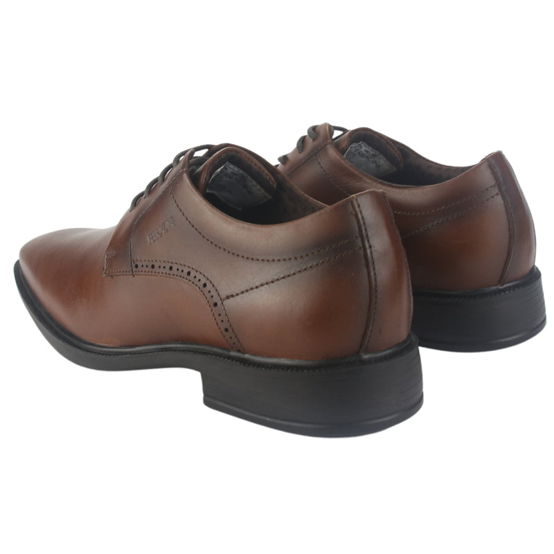Zapato Ferracini Hombre 6865 Paris Café Casual