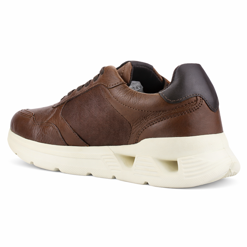 Zapatilla Café Hombre Casual Ferracini 8351 Speed