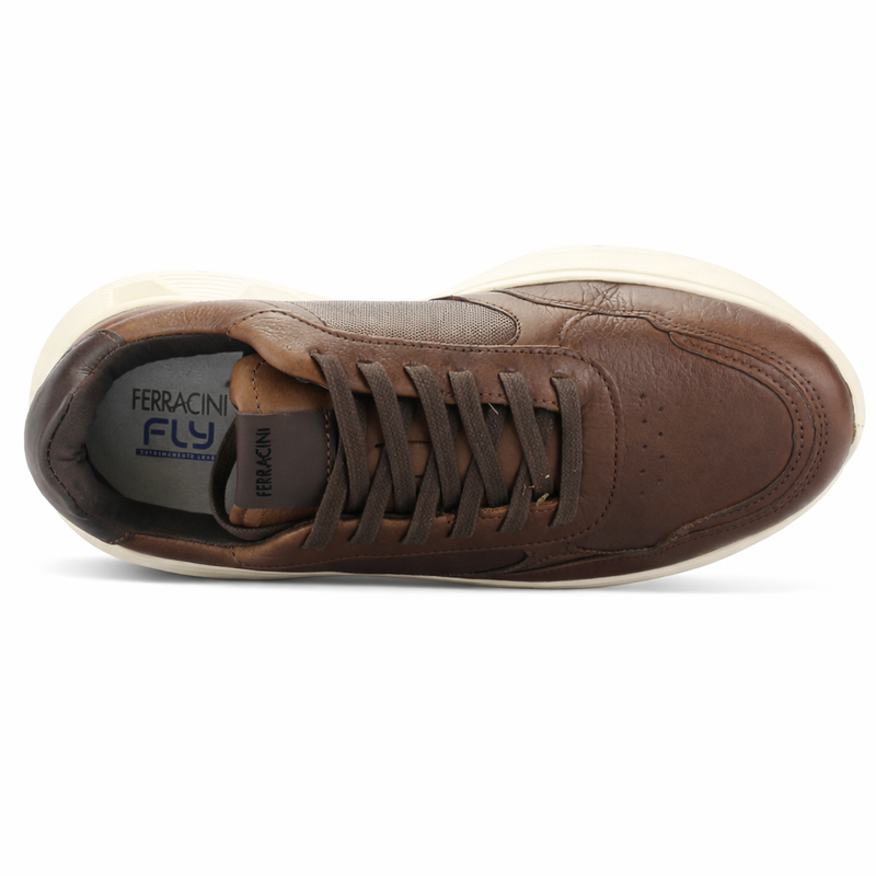 Zapatilla Café Hombre Casual Ferracini 8351 Speed