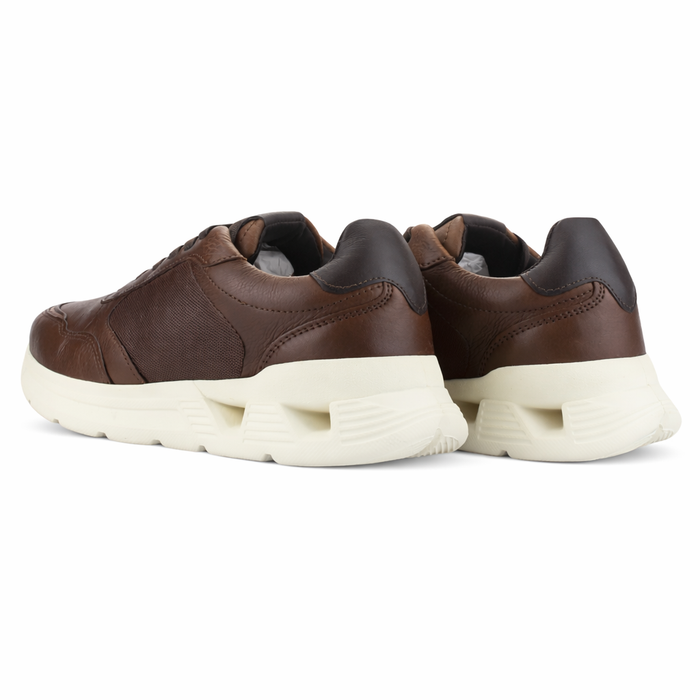 Zapatilla Café Hombre Casual Ferracini 8351 Speed