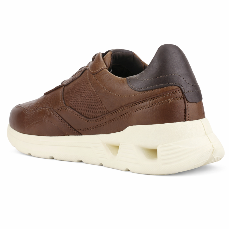 Zapatilla Café Hombre Casual Ferracini 8352 Speed